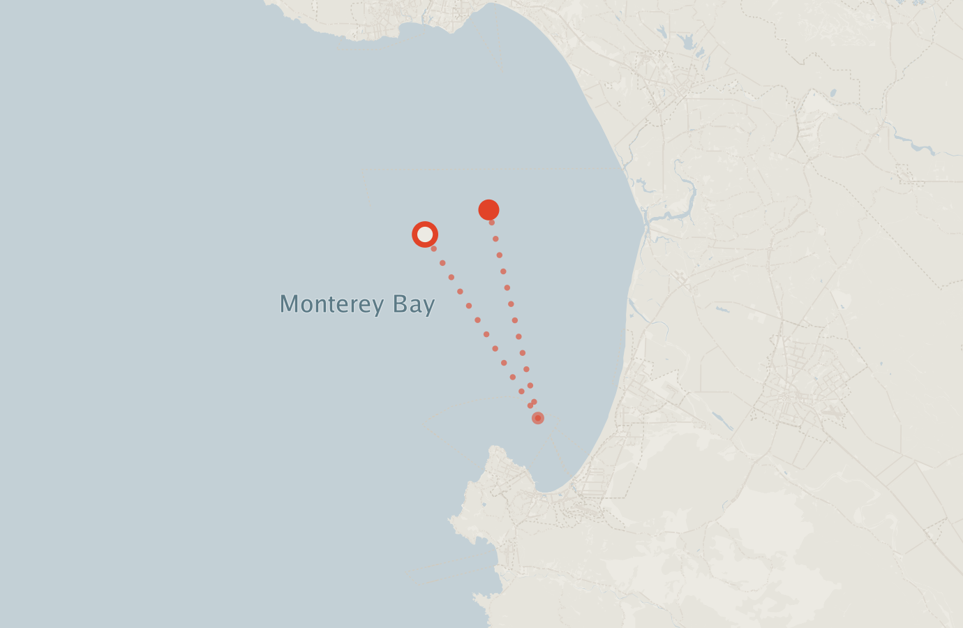 Activity map — real sighting points on an OpenStreetMap basemap