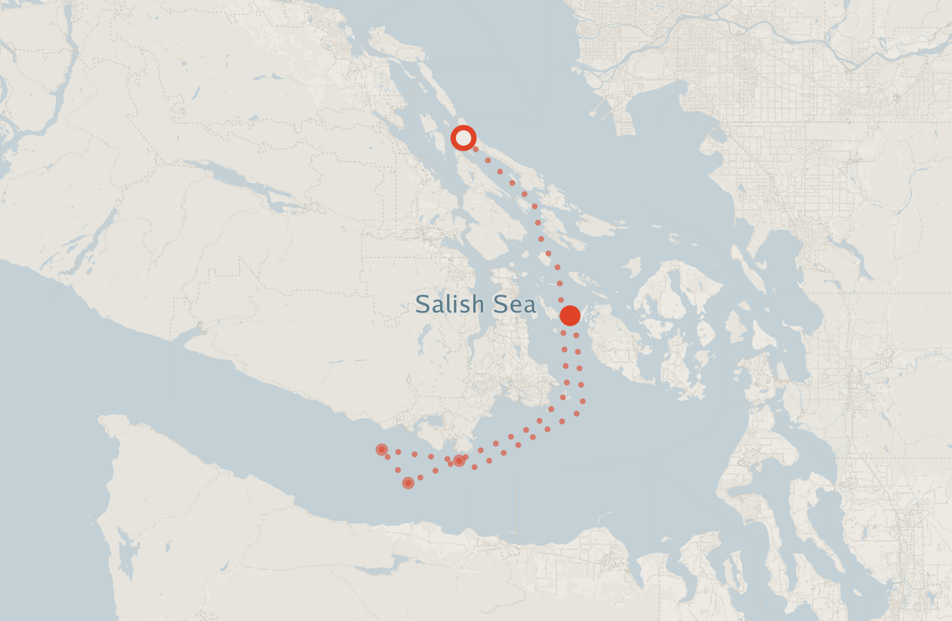 Activity map — real sighting points on an OpenStreetMap basemap