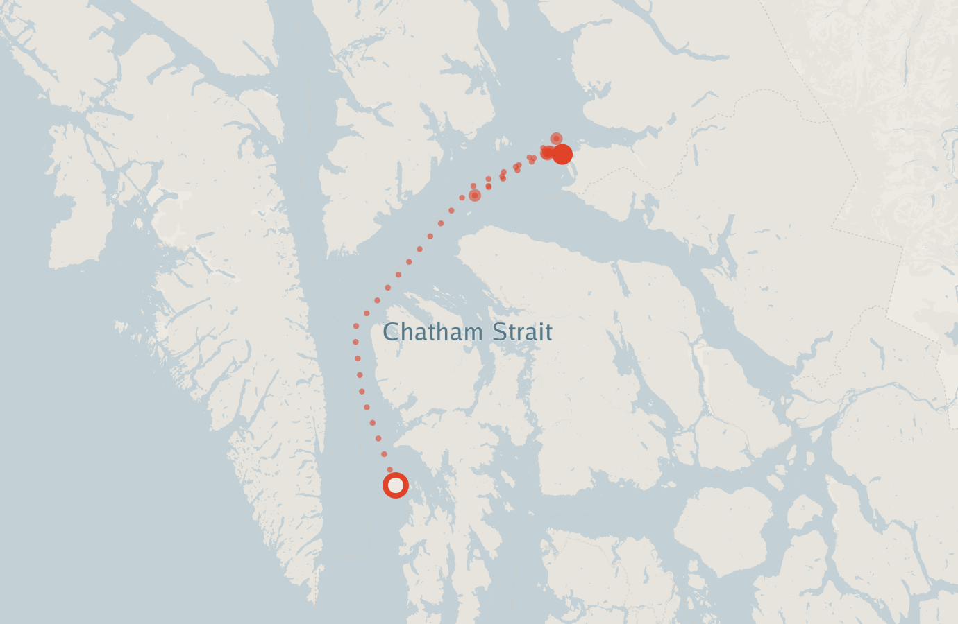 Activity map — real sighting points on an OpenStreetMap basemap