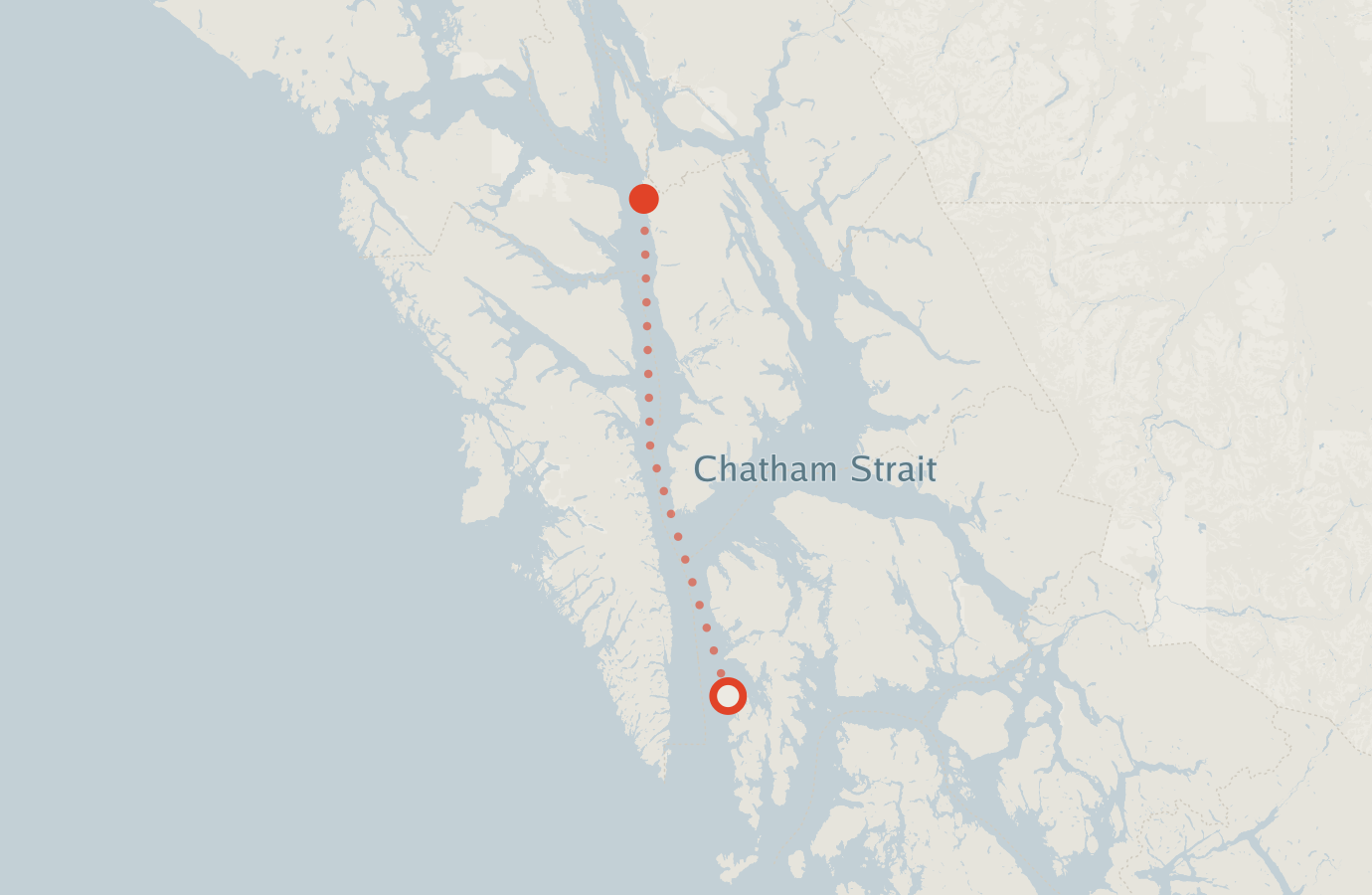 Activity map — real sighting points on an OpenStreetMap basemap