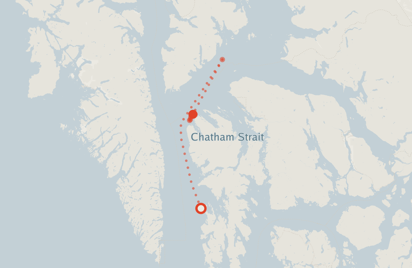 Activity map — real sighting points on an OpenStreetMap basemap