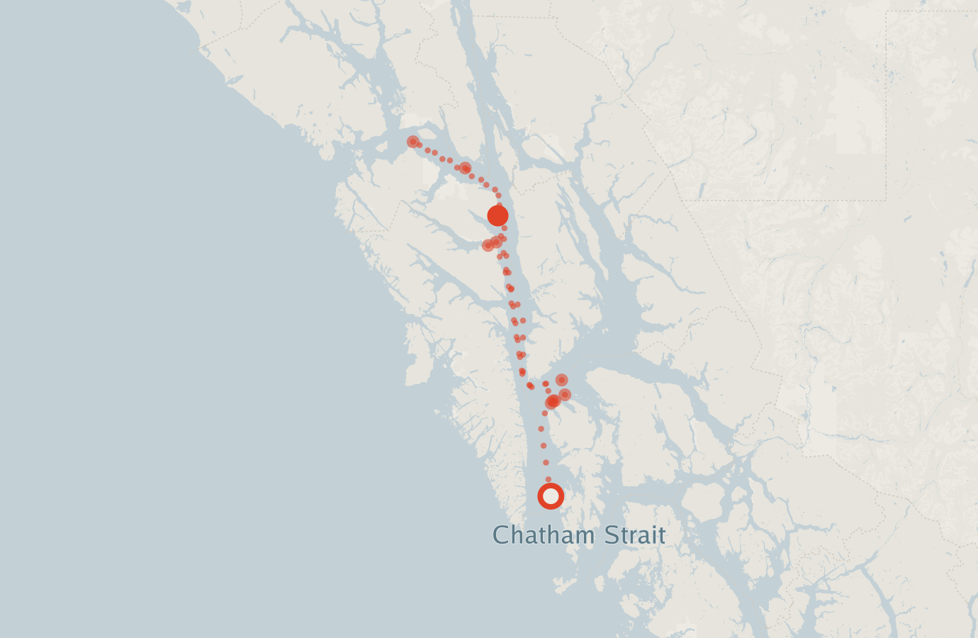 Activity map — real sighting points on an OpenStreetMap basemap