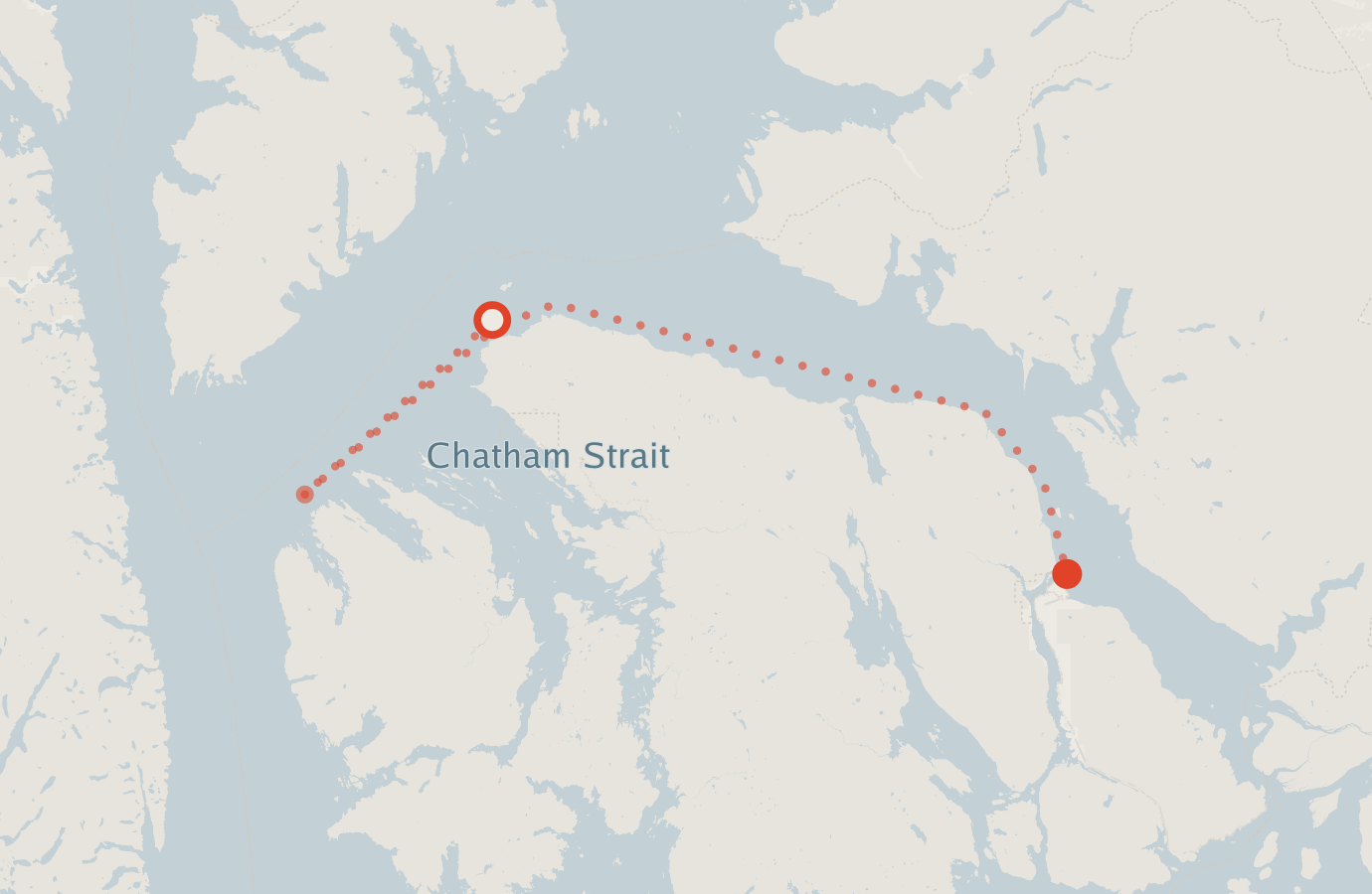 Activity map — real sighting points on an OpenStreetMap basemap