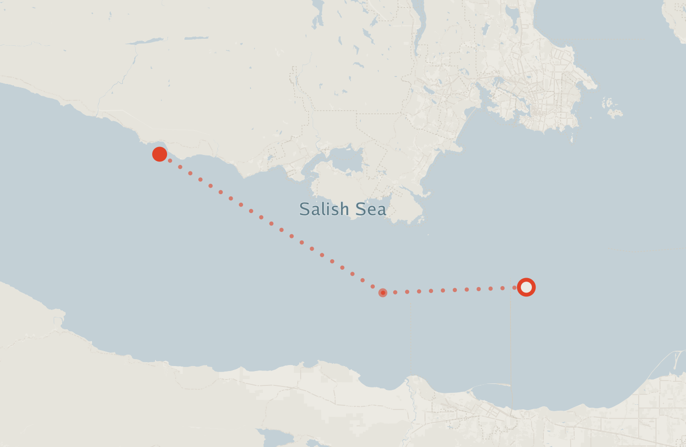 Activity map — real sighting points on an OpenStreetMap basemap