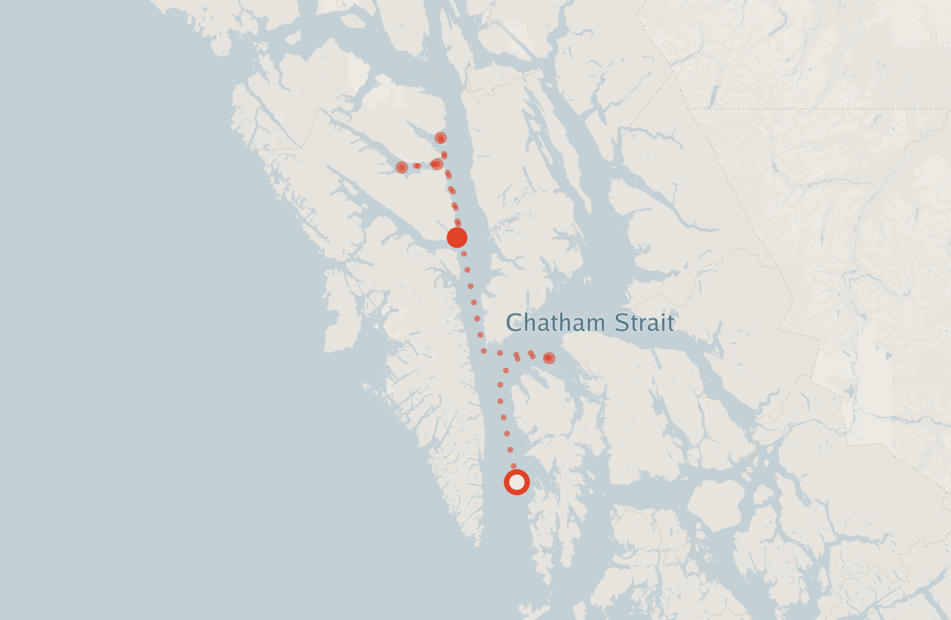 Activity map — real sighting points on an OpenStreetMap basemap