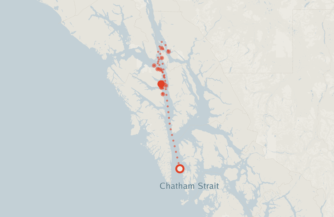 Activity map — real sighting points on an OpenStreetMap basemap