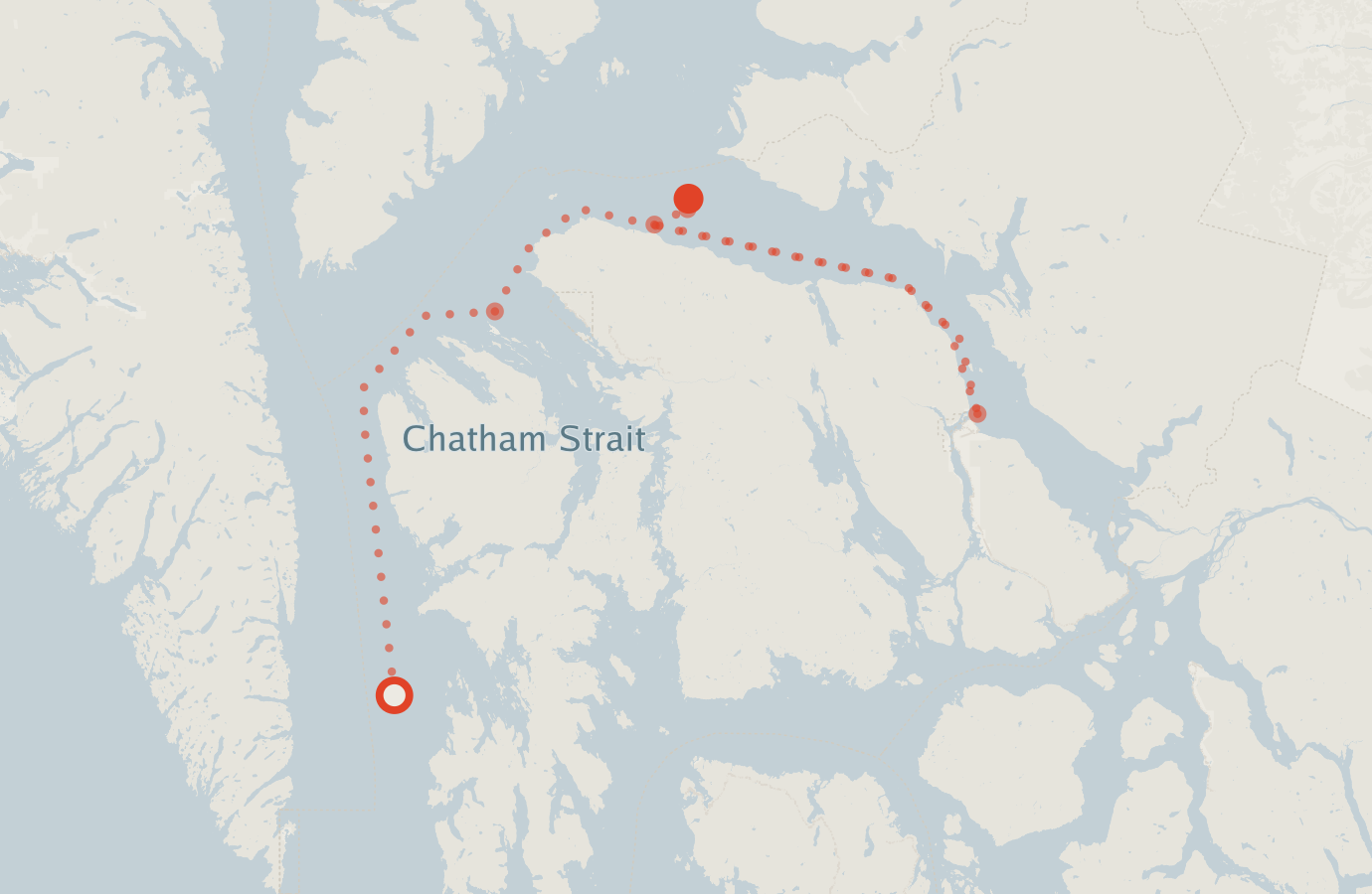 Activity map — real sighting points on an OpenStreetMap basemap