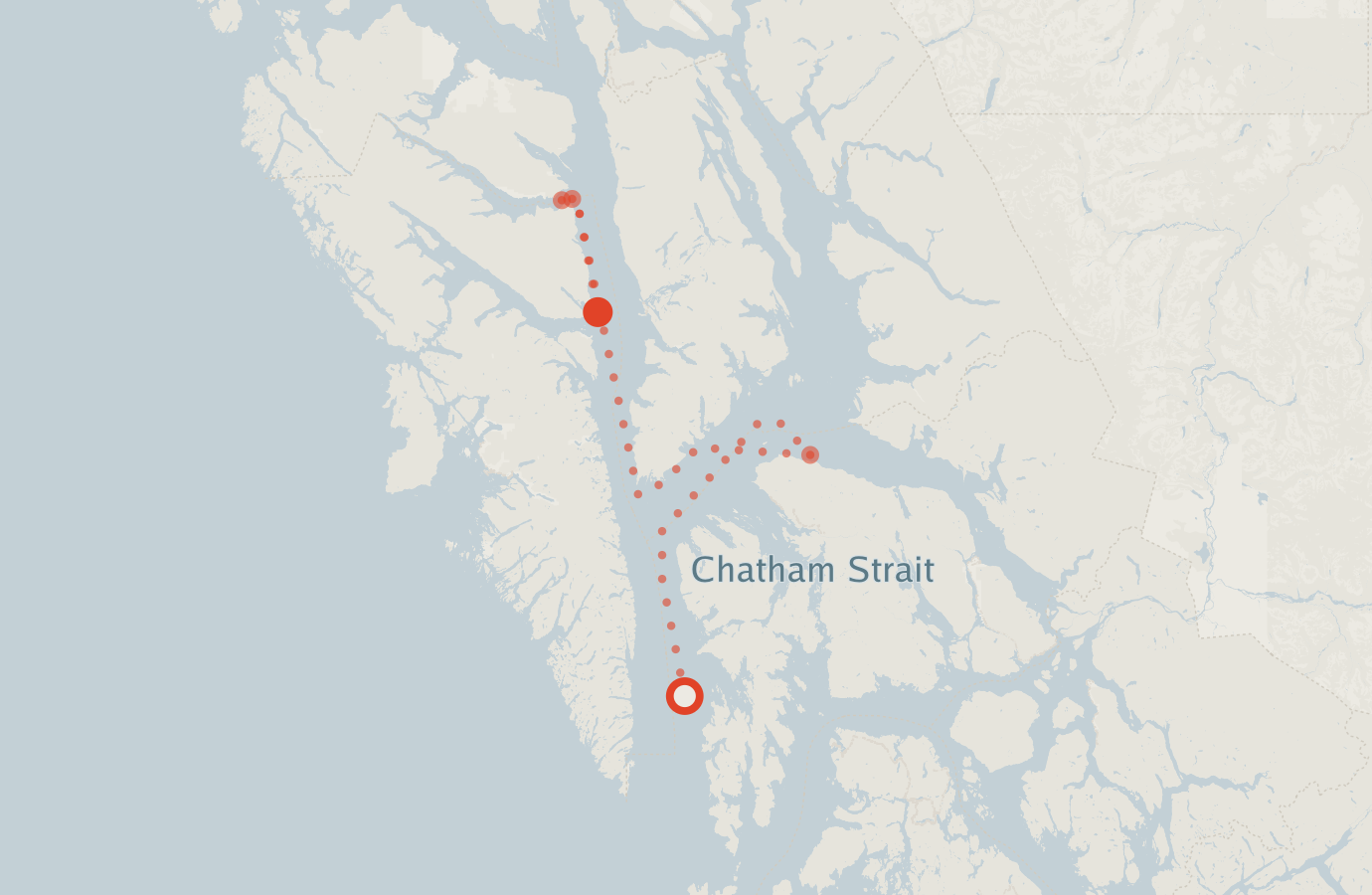 Activity map — real sighting points on an OpenStreetMap basemap