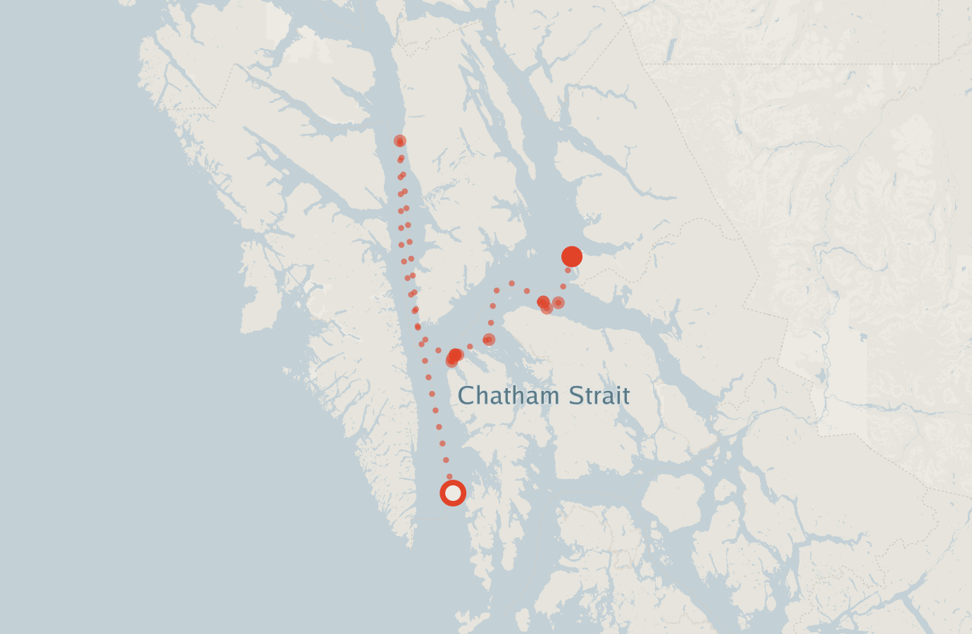 Activity map — real sighting points on an OpenStreetMap basemap