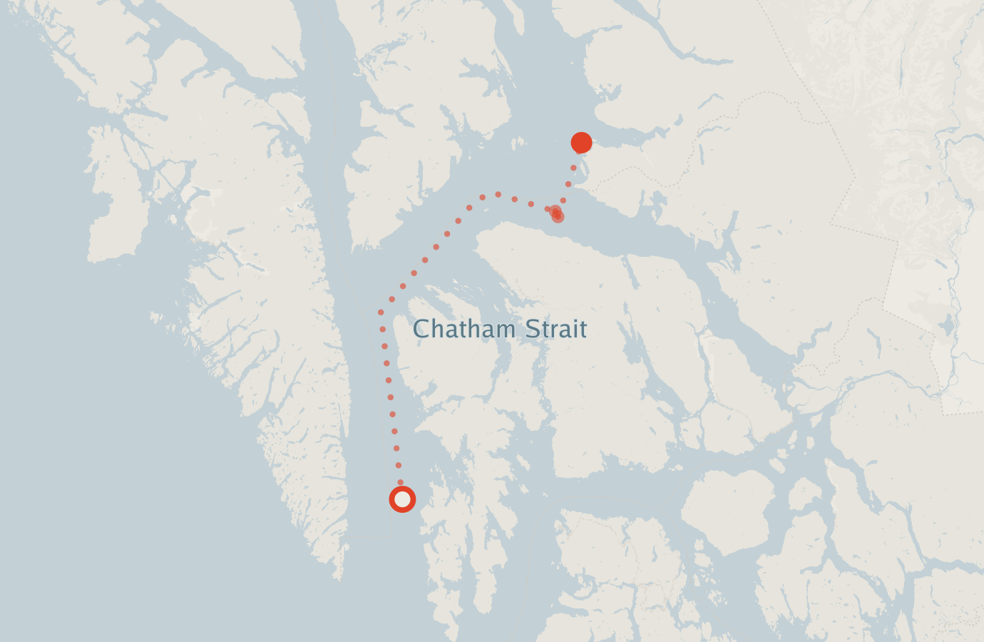 Activity map — real sighting points on an OpenStreetMap basemap