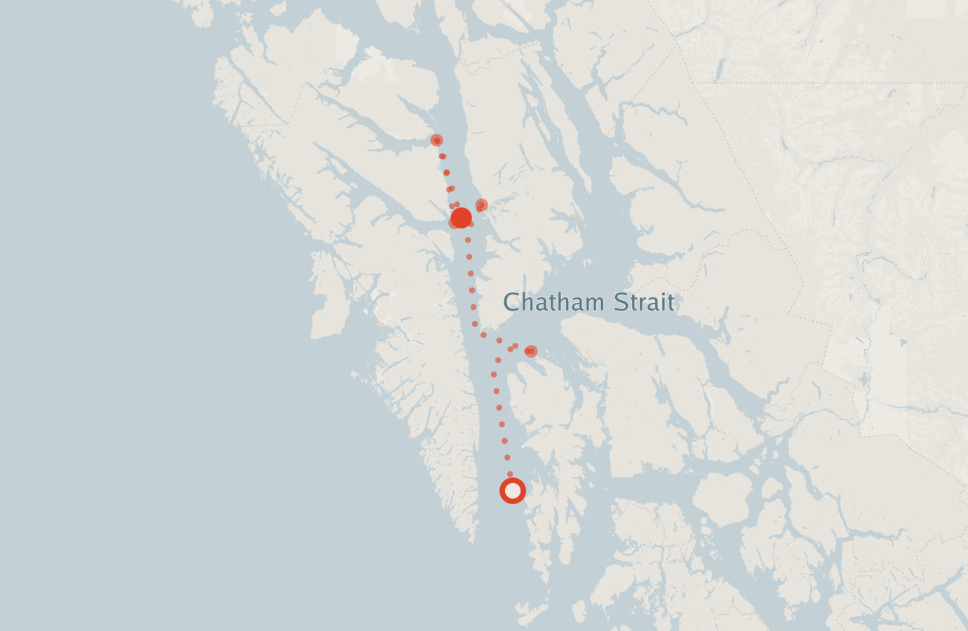 Activity map — real sighting points on an OpenStreetMap basemap