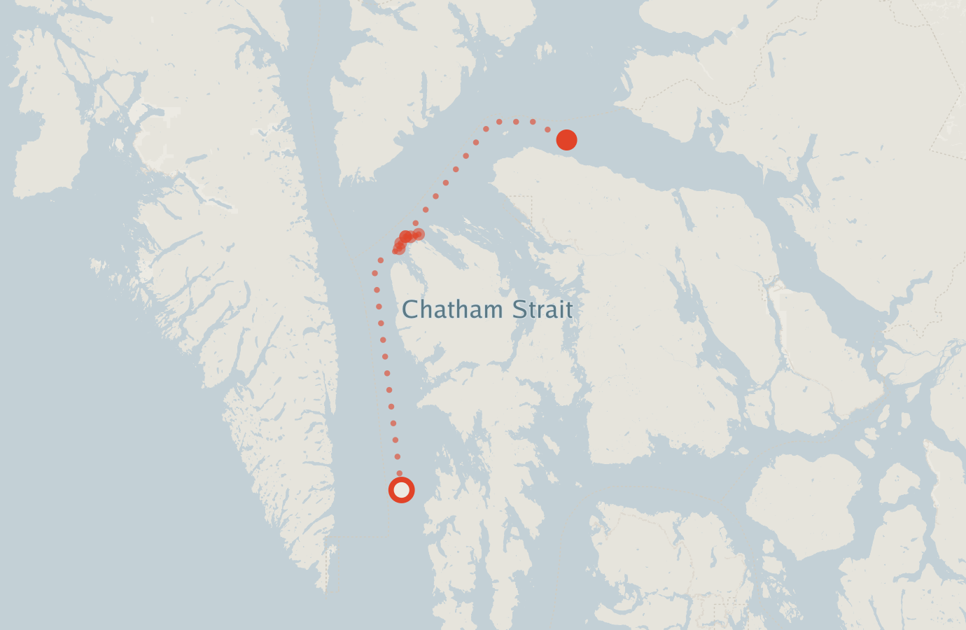 Activity map — real sighting points on an OpenStreetMap basemap