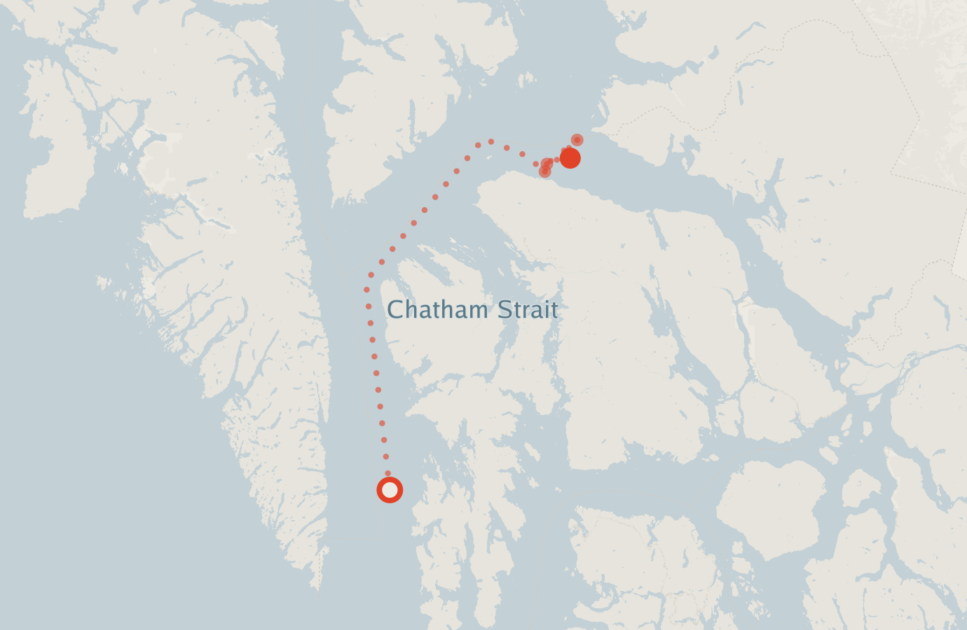Activity map — real sighting points on an OpenStreetMap basemap