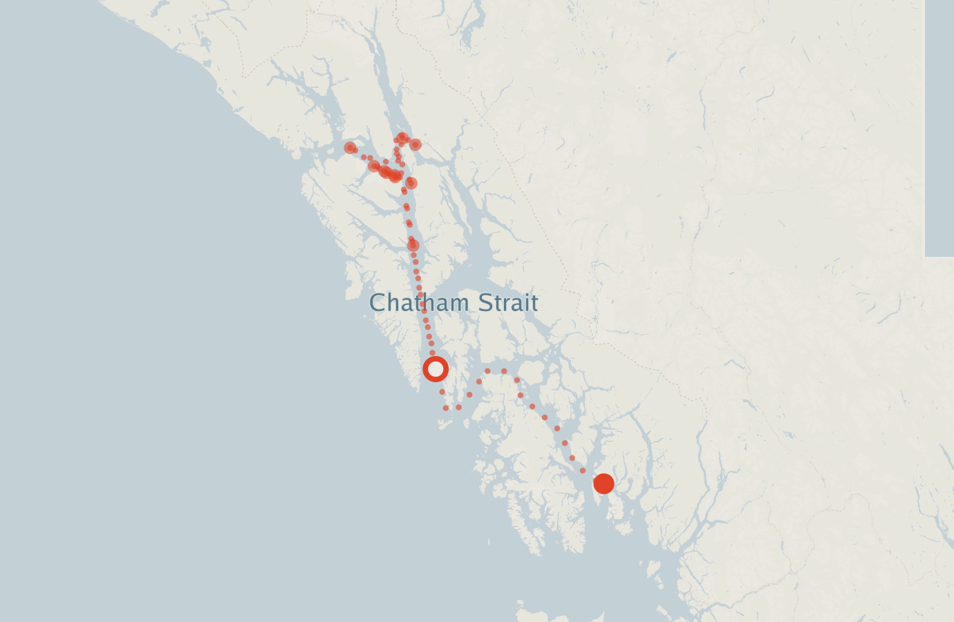 Activity map — real sighting points on an OpenStreetMap basemap