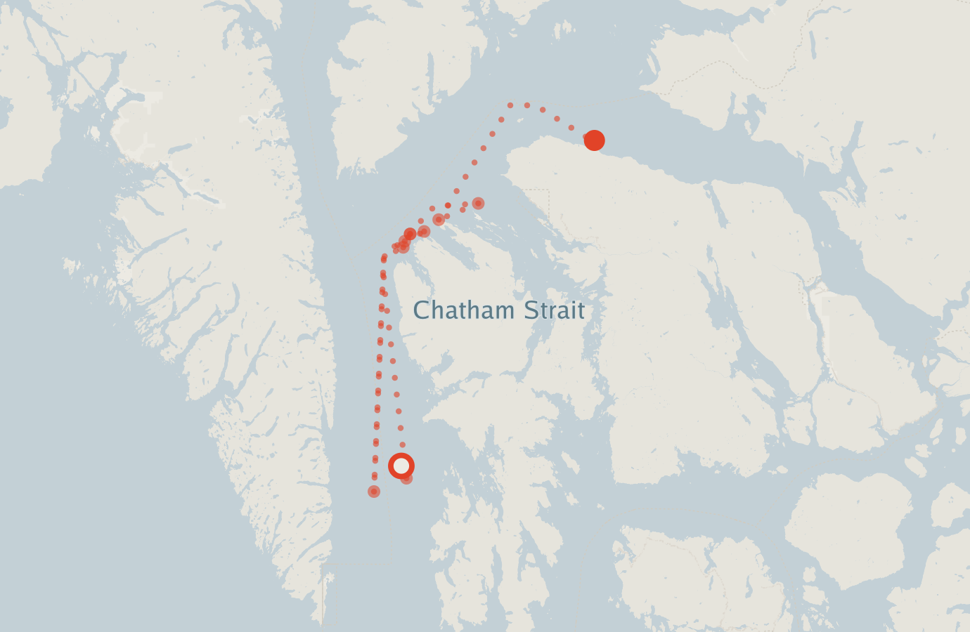 Activity map — real sighting points on an OpenStreetMap basemap