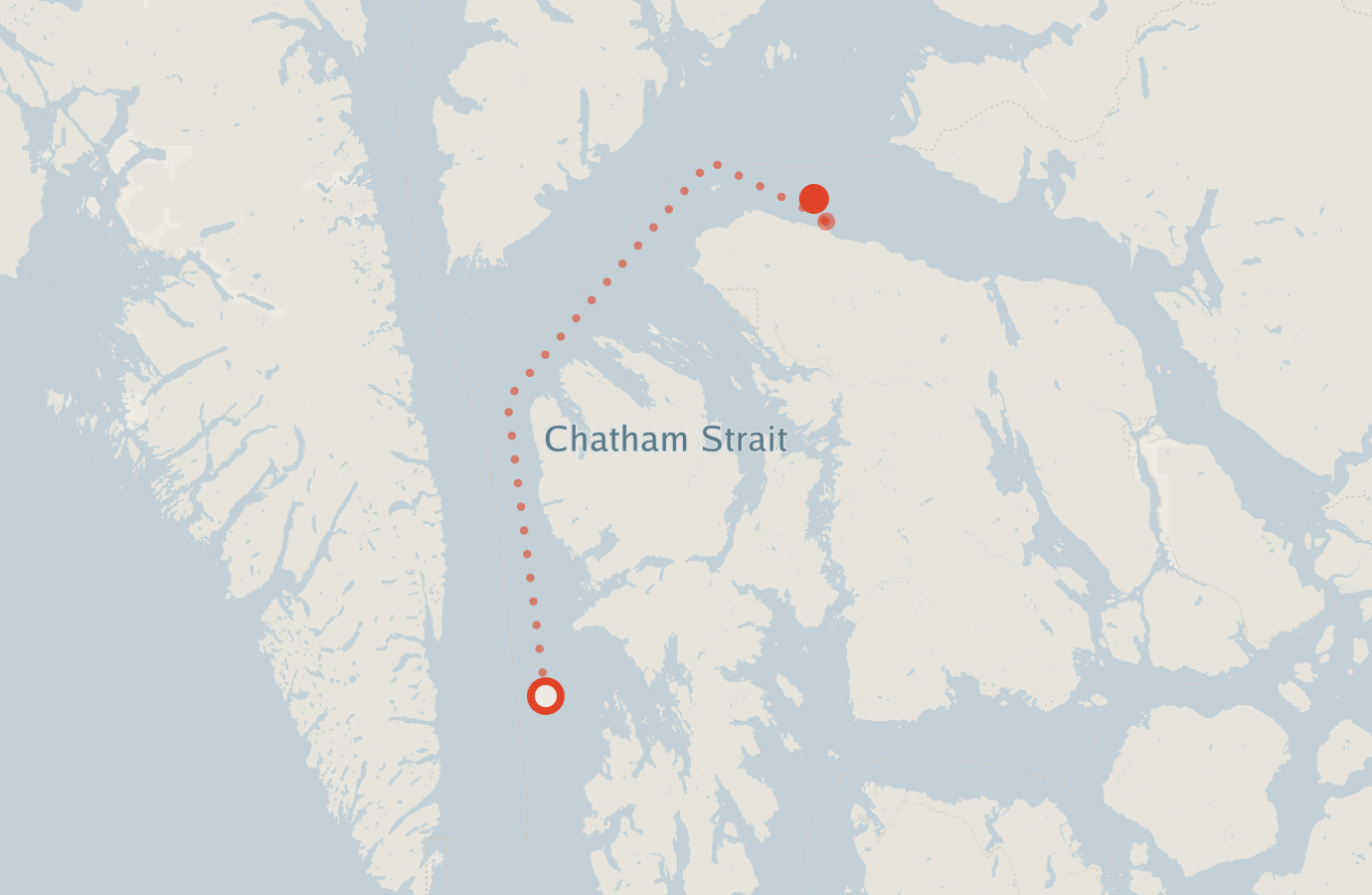 Activity map — real sighting points on an OpenStreetMap basemap