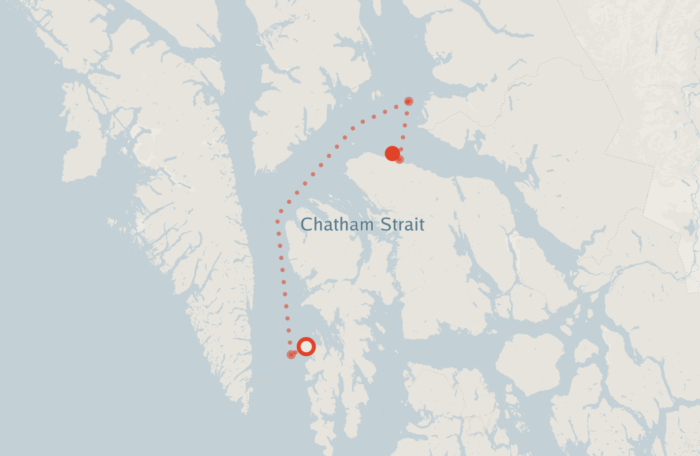 Activity map — real sighting points on an OpenStreetMap basemap