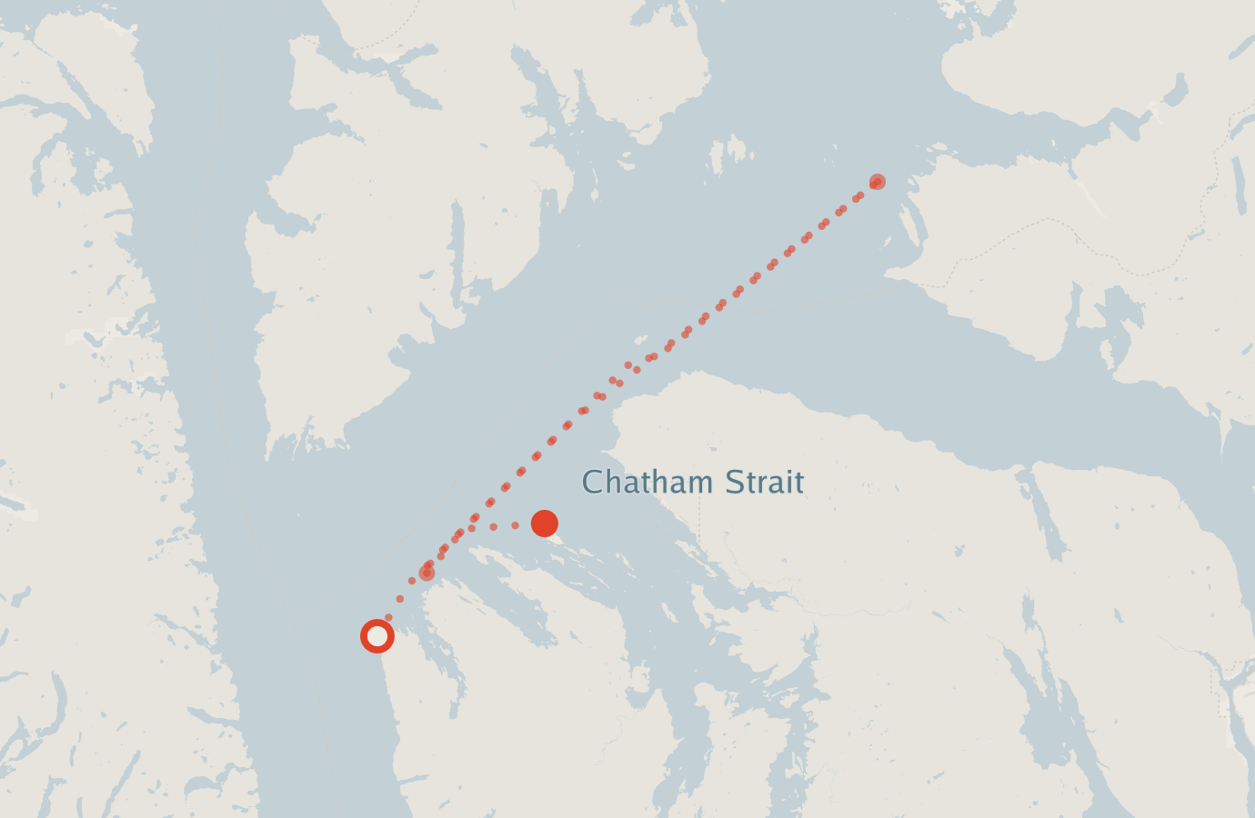 Activity map — real sighting points on an OpenStreetMap basemap