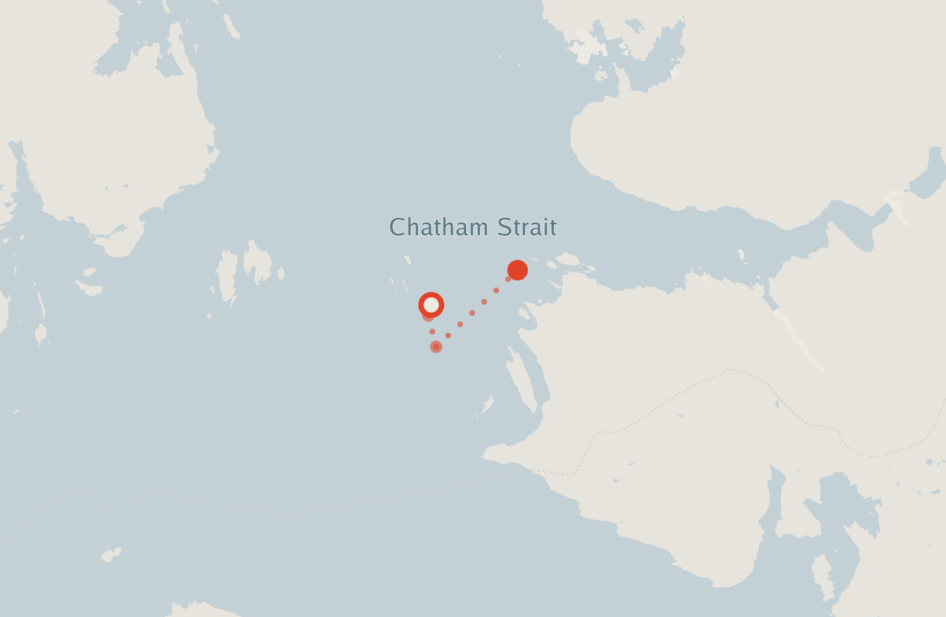Activity map — real sighting points on an OpenStreetMap basemap