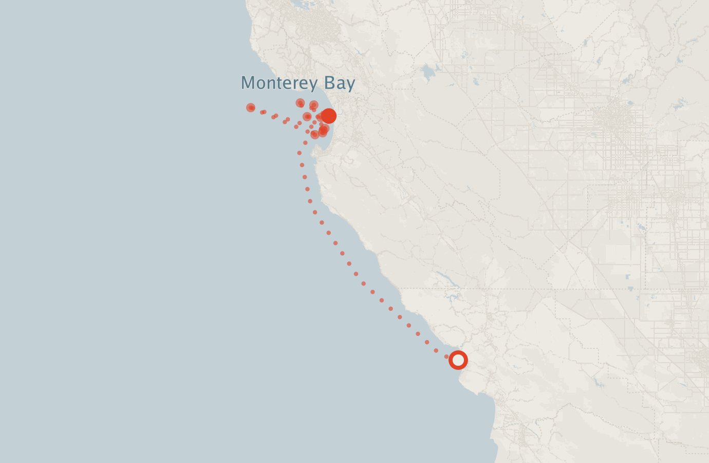 Activity map — real sighting points on an OpenStreetMap basemap