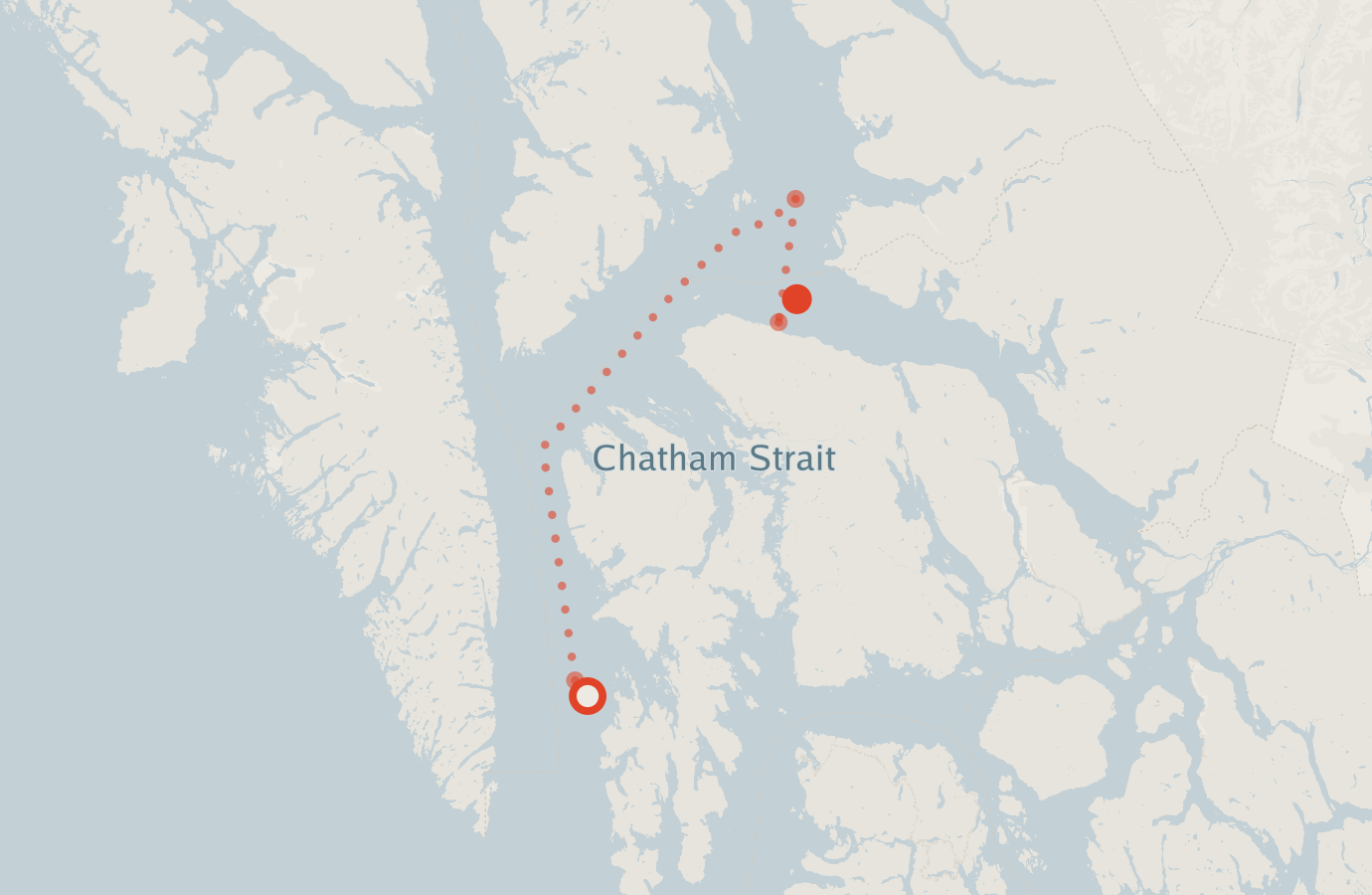 Activity map — real sighting points on an OpenStreetMap basemap