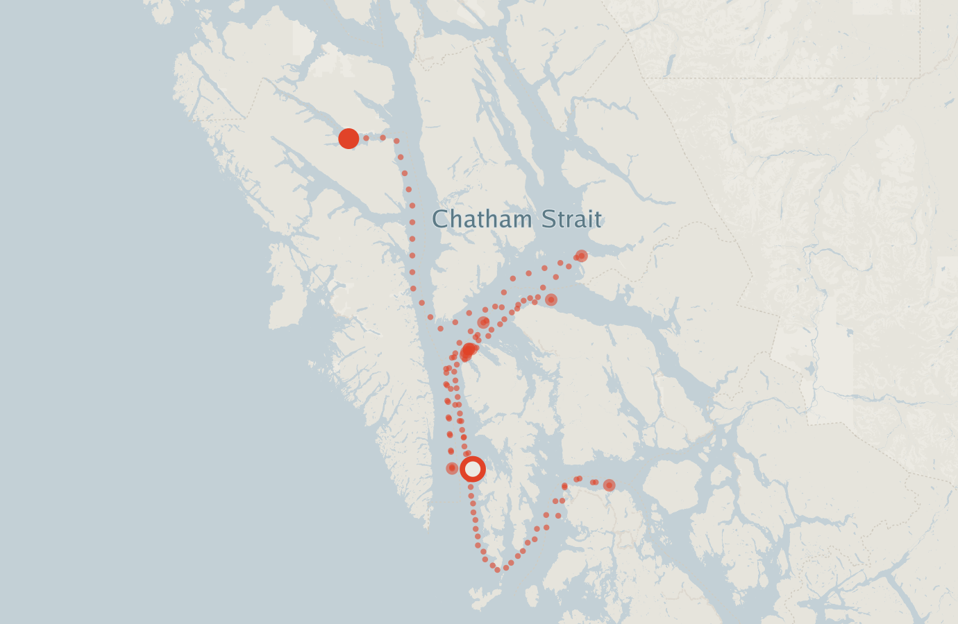 Activity map — real sighting points on an OpenStreetMap basemap