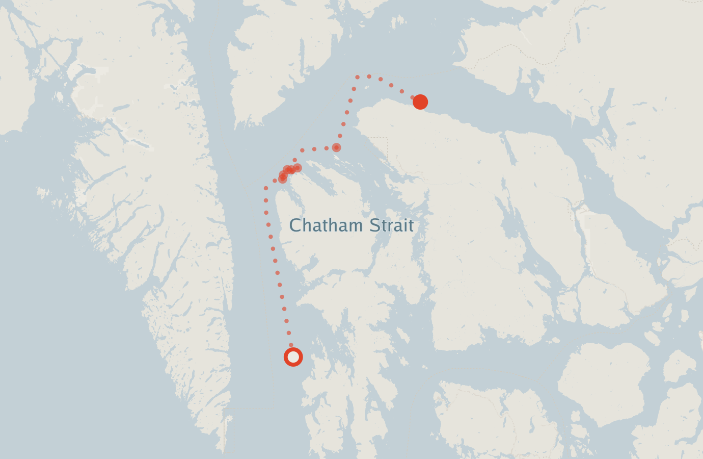 Activity map — real sighting points on an OpenStreetMap basemap