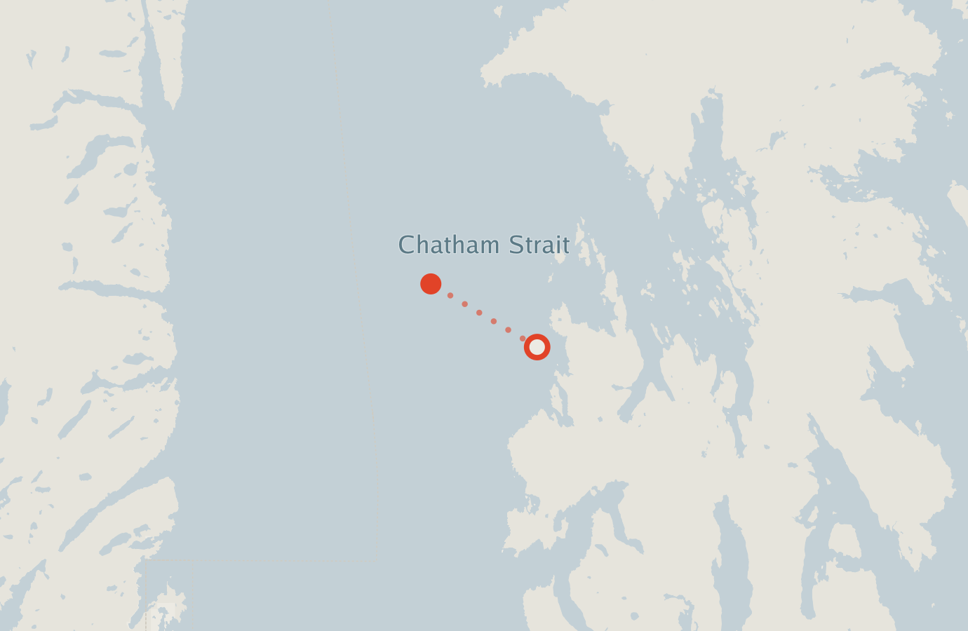 Activity map — real sighting points on an OpenStreetMap basemap