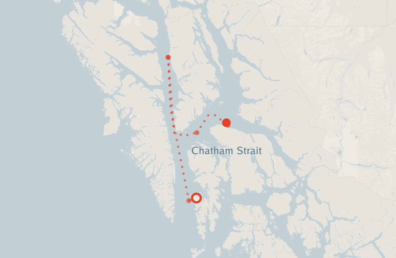 Activity map — real sighting points on an OpenStreetMap basemap