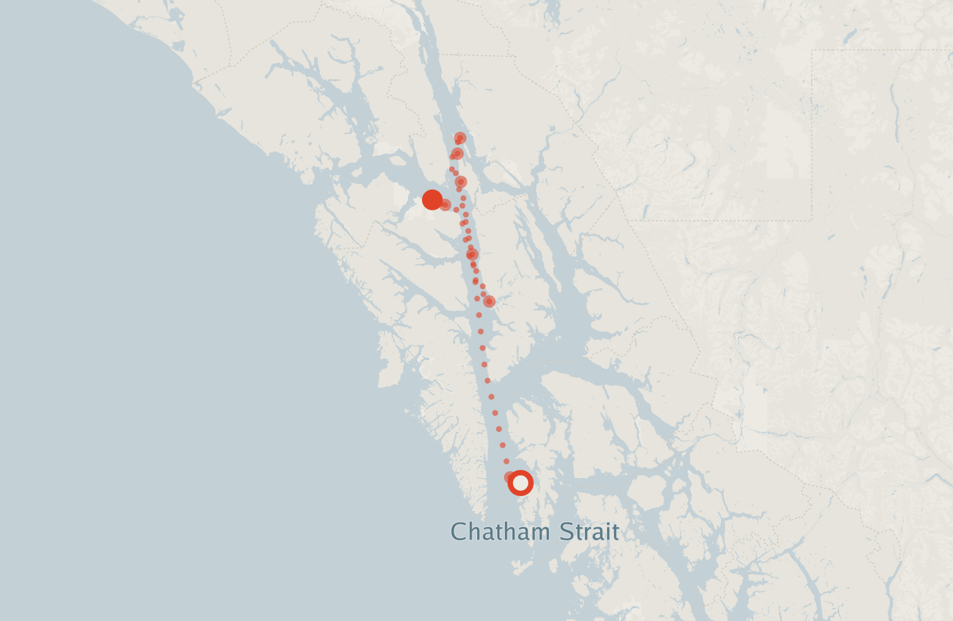 Activity map — real sighting points on an OpenStreetMap basemap