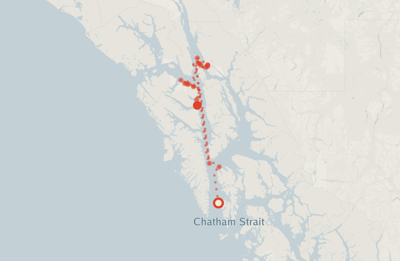Activity map — real sighting points on an OpenStreetMap basemap