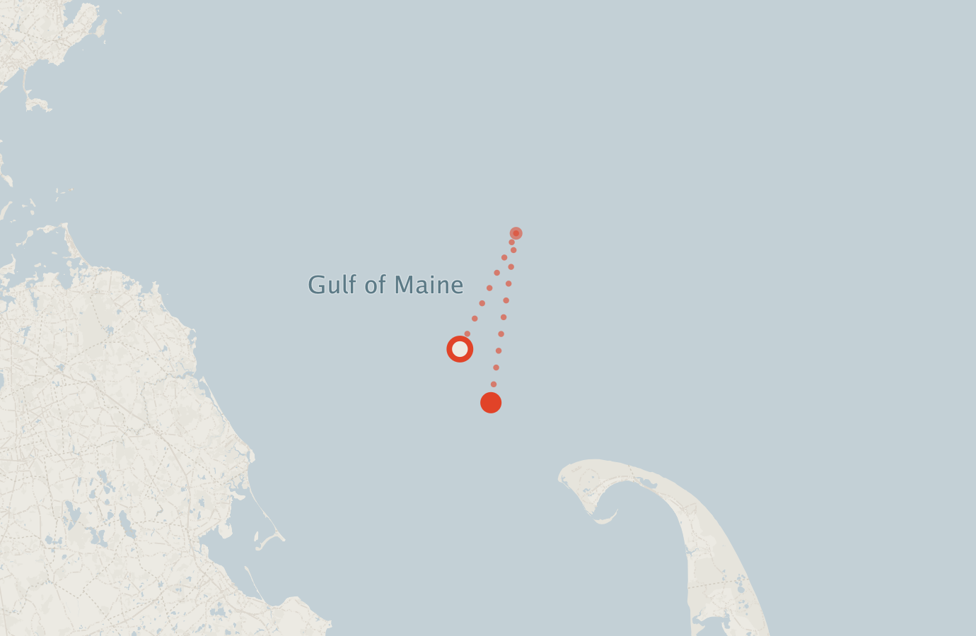 Activity map — real sighting points on an OpenStreetMap basemap