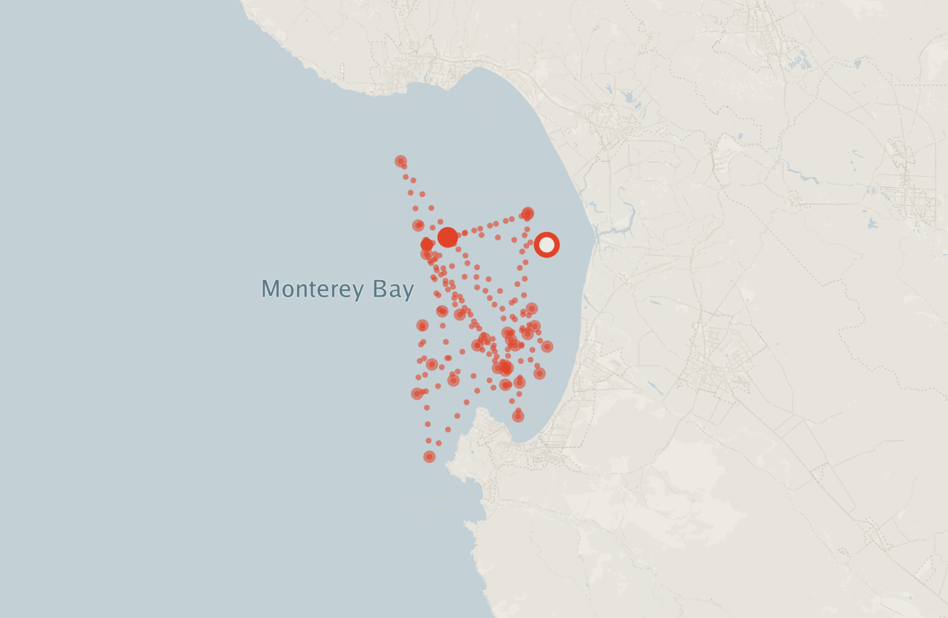 Activity map — real sighting points on an OpenStreetMap basemap
