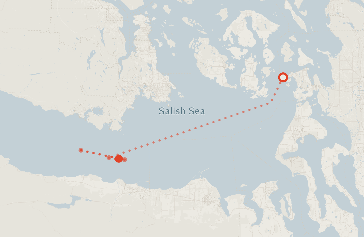 Activity map — real sighting points on an OpenStreetMap basemap