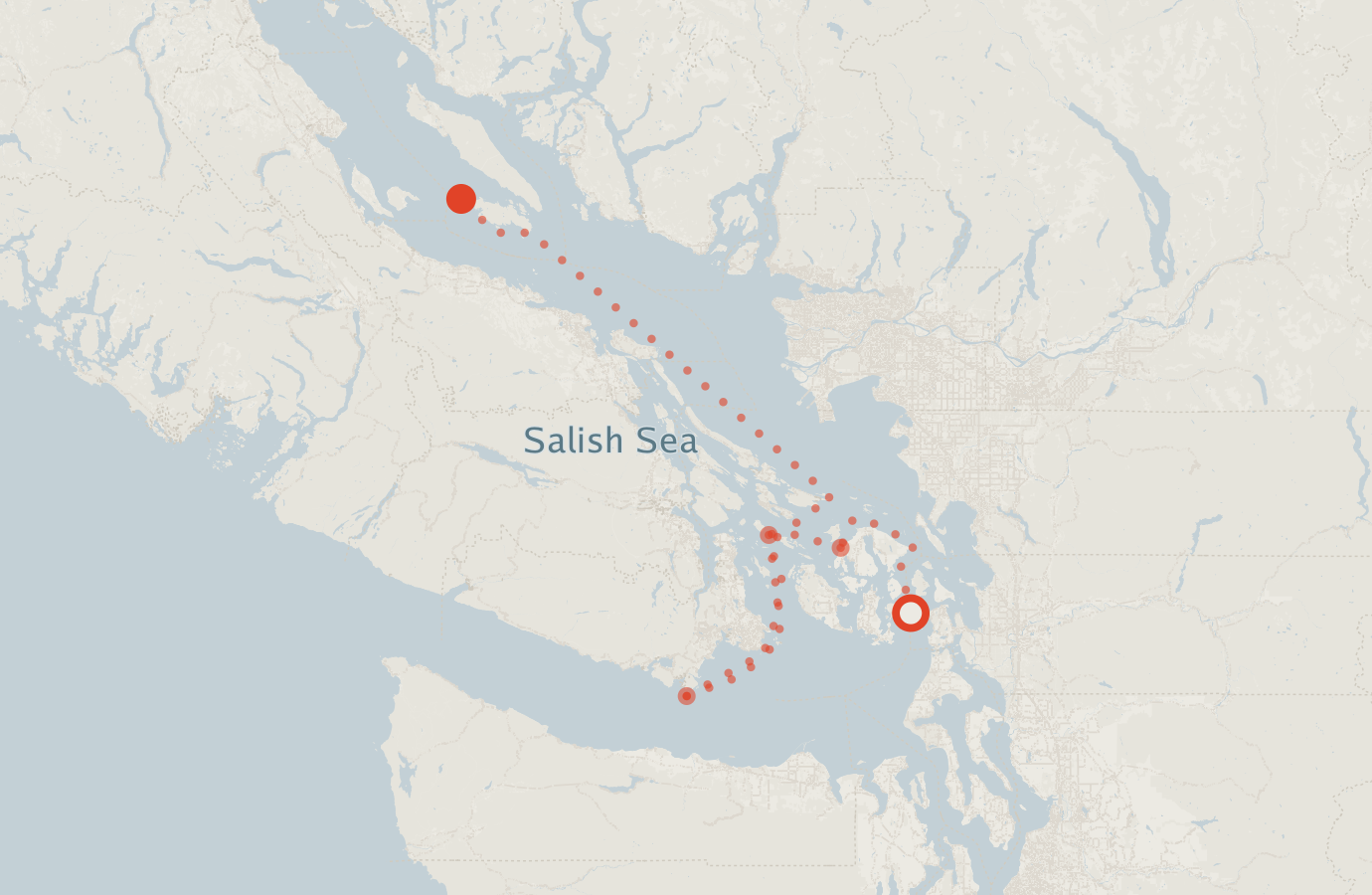 Activity map — real sighting points on an OpenStreetMap basemap