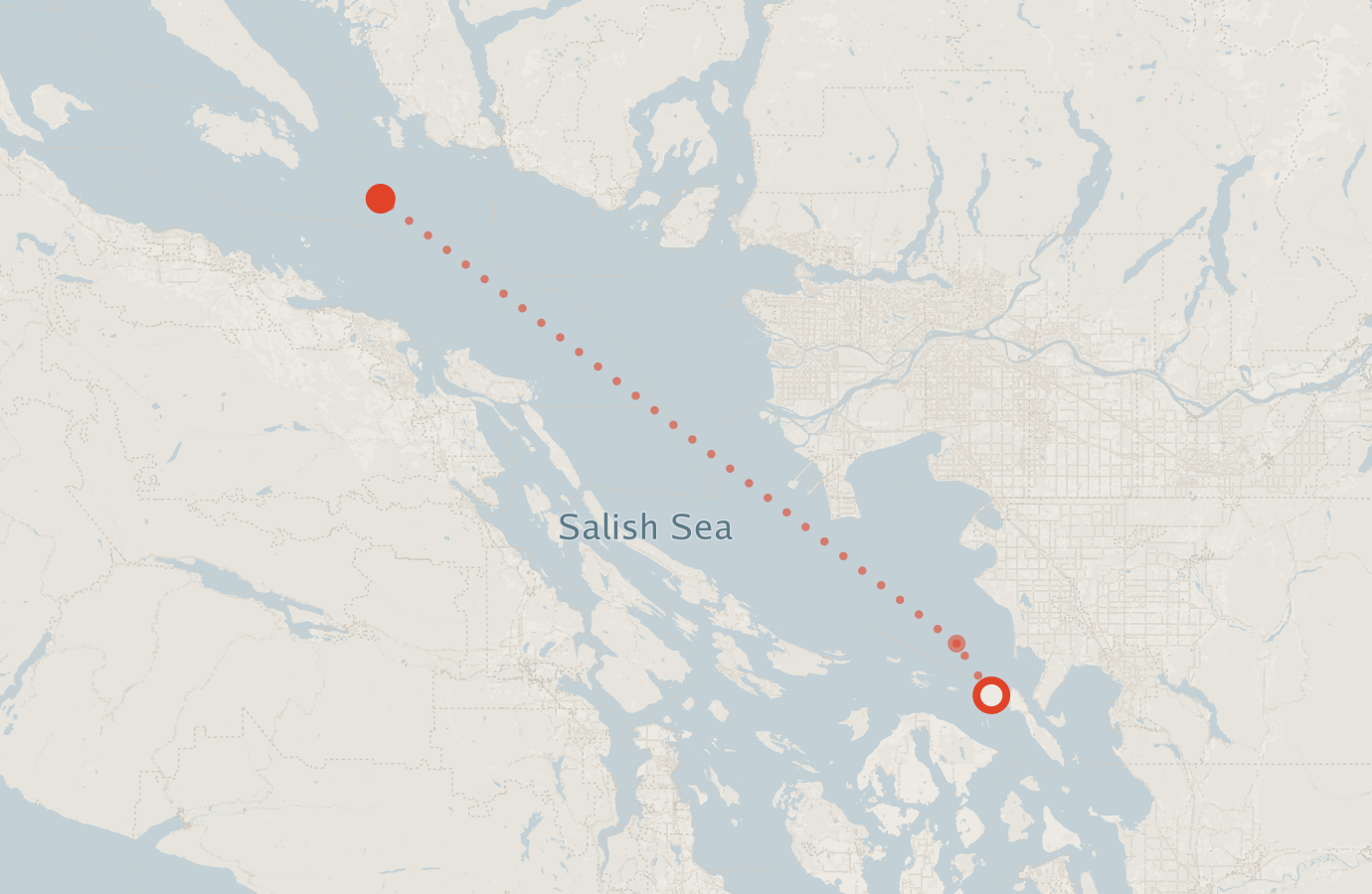 Activity map — real sighting points on an OpenStreetMap basemap