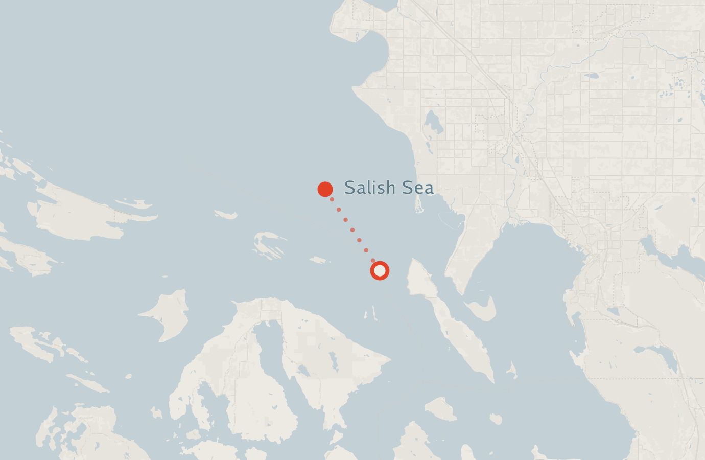Activity map — real sighting points on an OpenStreetMap basemap