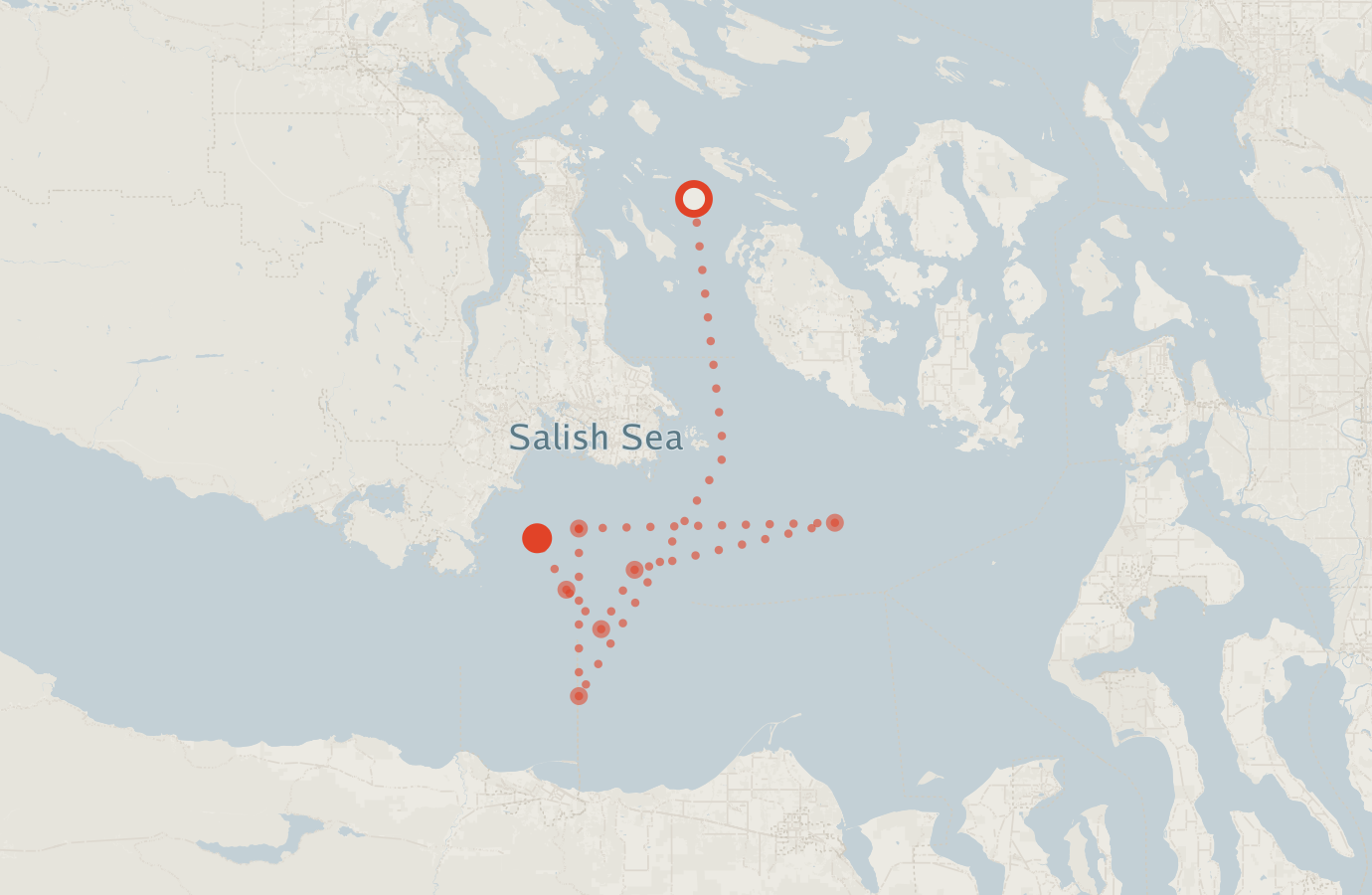 Activity map — real sighting points on an OpenStreetMap basemap