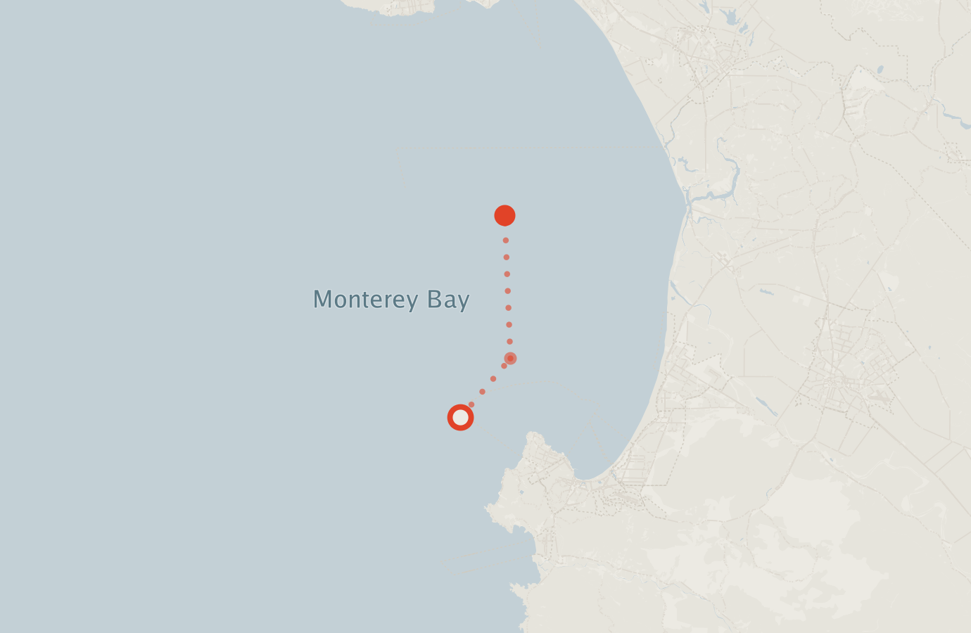 Activity map — real sighting points on an OpenStreetMap basemap