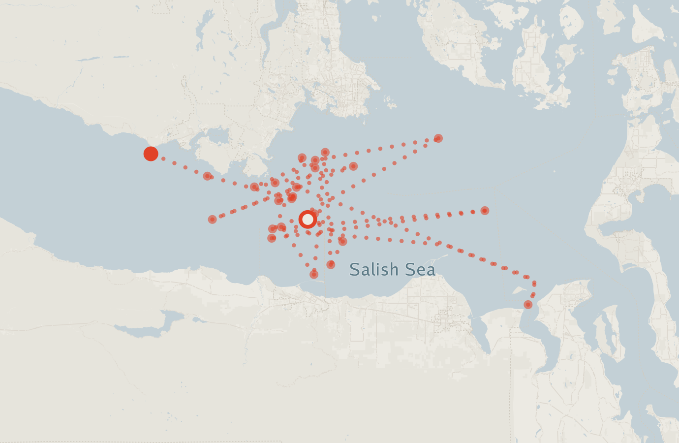 Activity map — real sighting points on an OpenStreetMap basemap