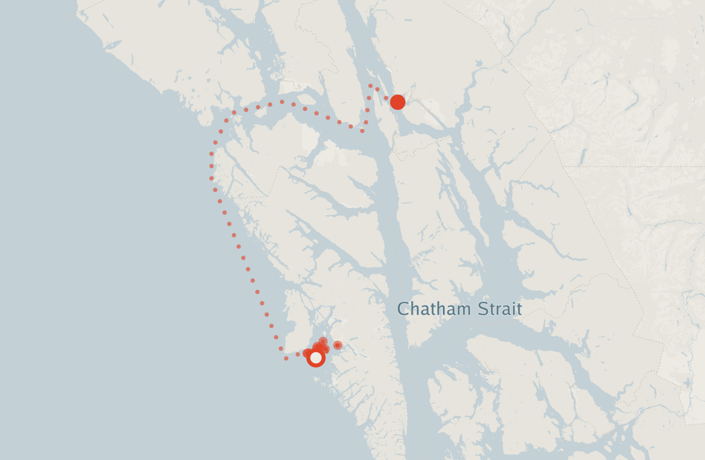 Activity map — real sighting points on an OpenStreetMap basemap