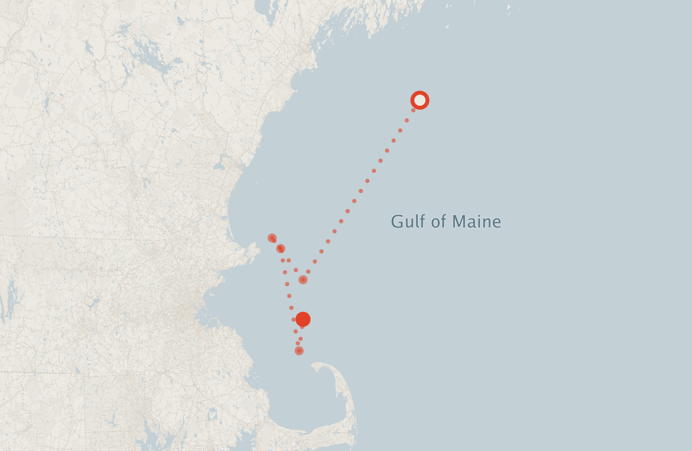 Activity map — real sighting points on an OpenStreetMap basemap