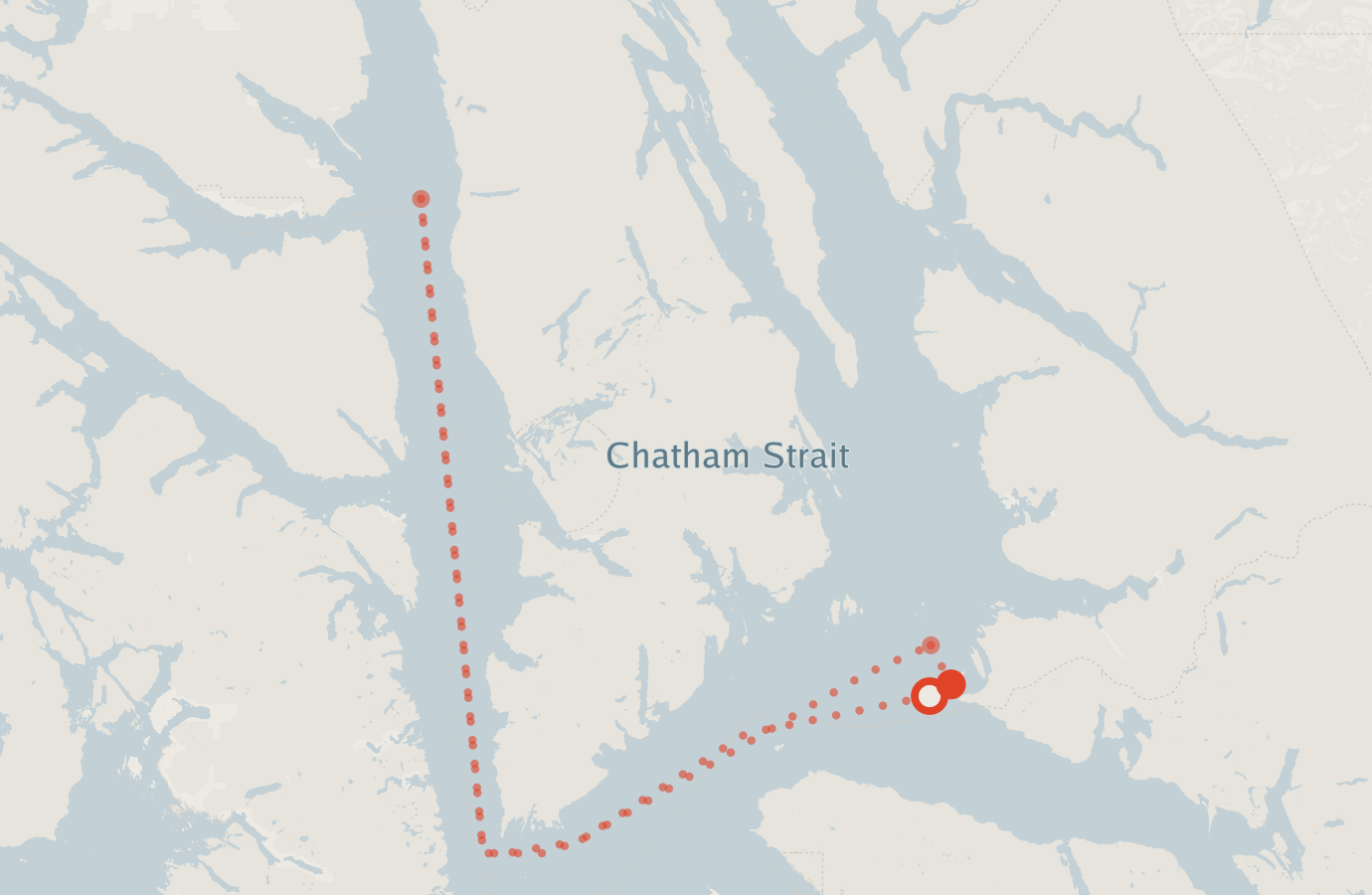 Activity map — real sighting points on an OpenStreetMap basemap