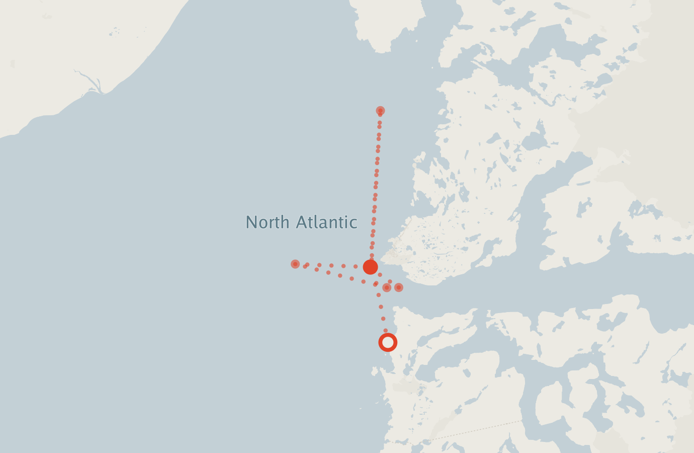 Activity map — real sighting points on an OpenStreetMap basemap