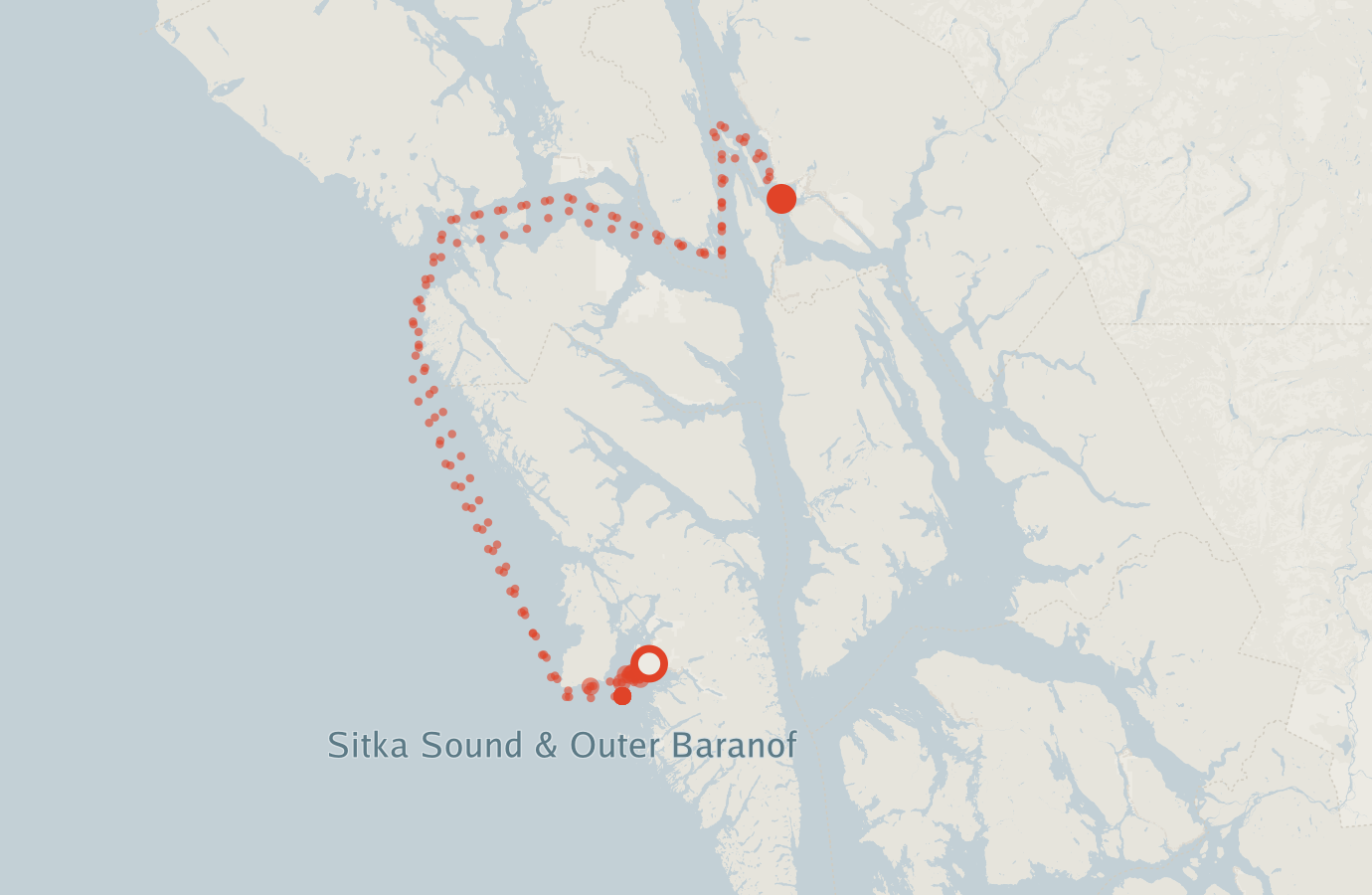 Activity map — real sighting points on an OpenStreetMap basemap