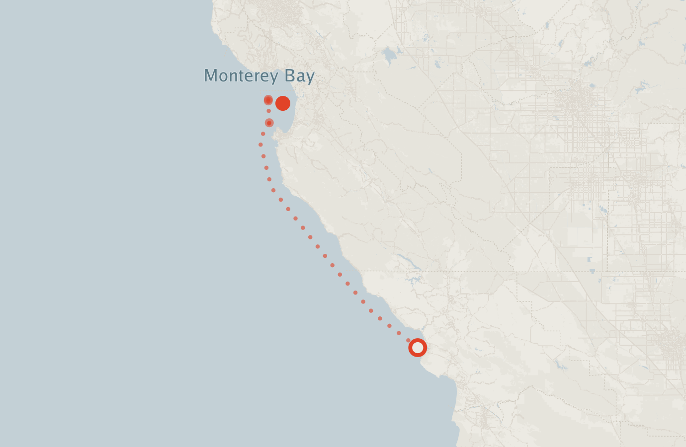 Activity map — real sighting points on an OpenStreetMap basemap