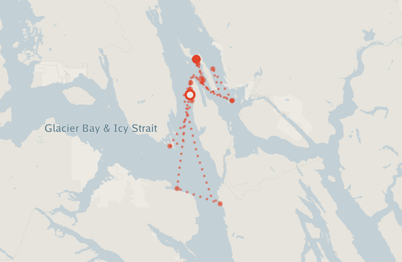 Activity map — real sighting points on an OpenStreetMap basemap