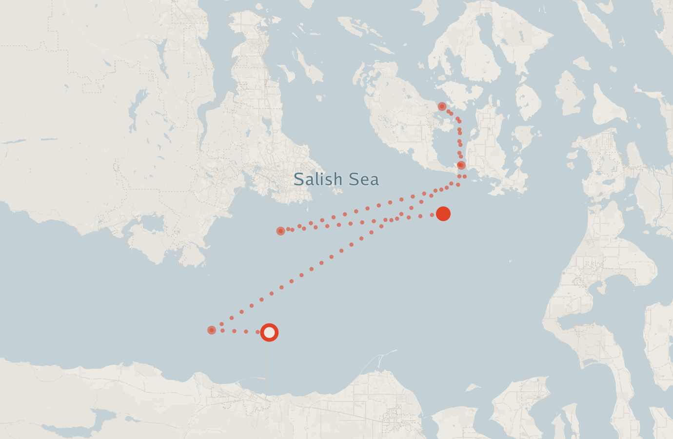 Activity map — real sighting points on an OpenStreetMap basemap