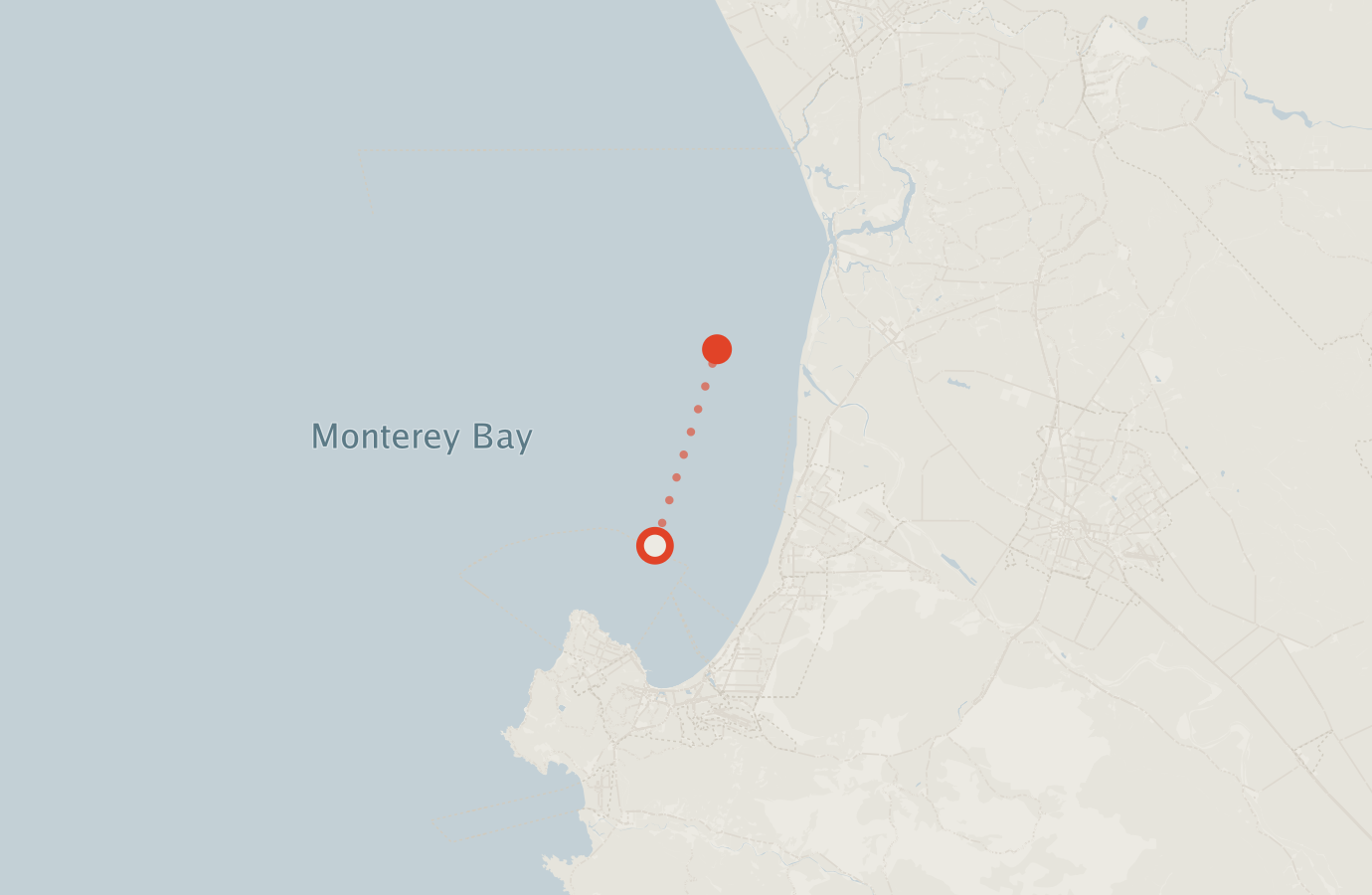 Activity map — real sighting points on an OpenStreetMap basemap