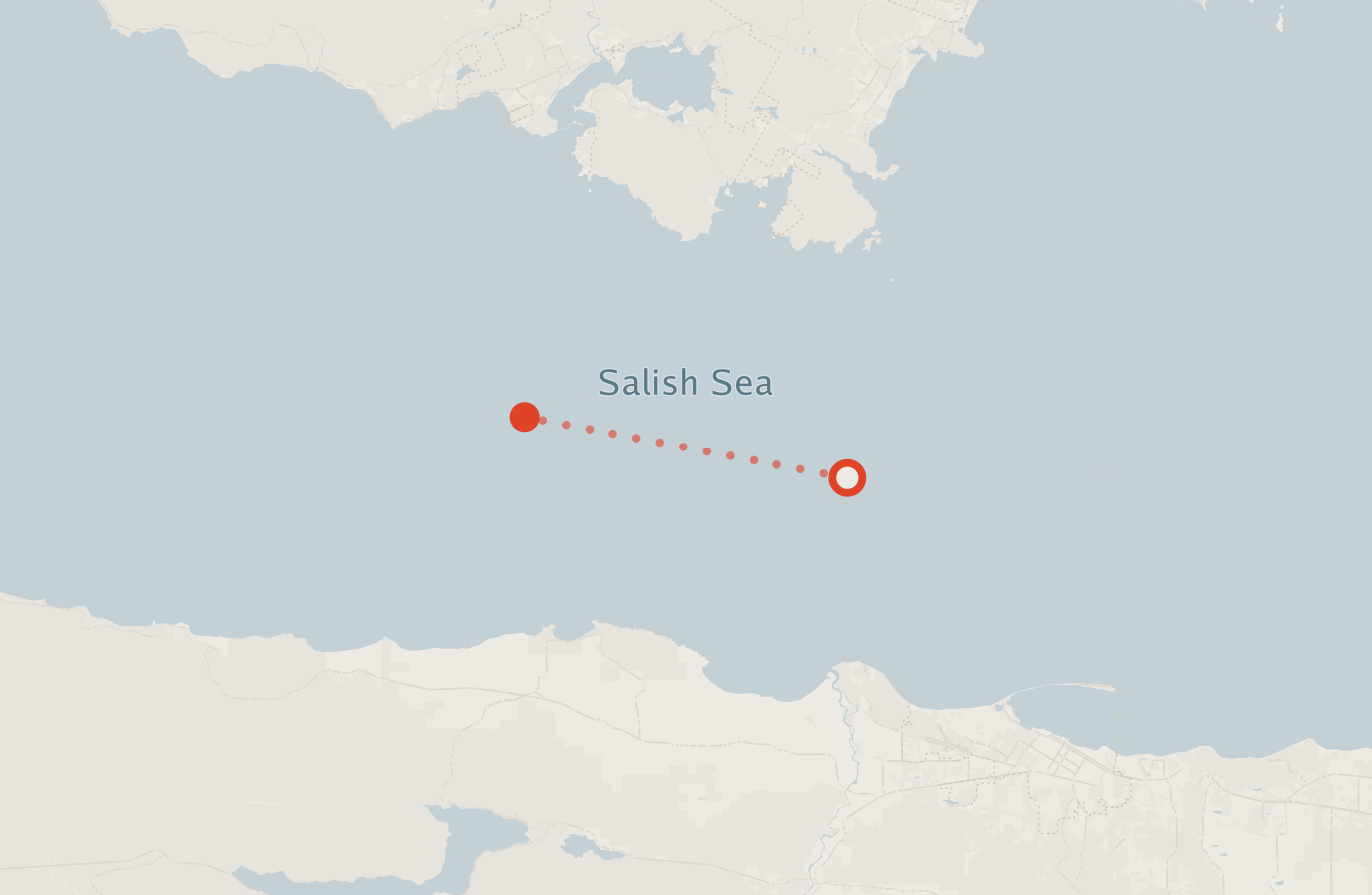 Activity map — real sighting points on an OpenStreetMap basemap
